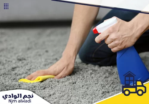 أدوات تنظيف السجاد المتطورة تساعد في تحقيق نتائج سريعة وآمنة.