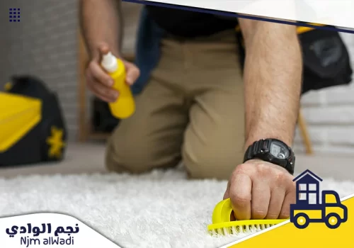 فني متخصص في تنظيف السجاد باستخدام أحدث الأدوات.