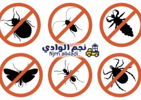 مكافحة حشرات