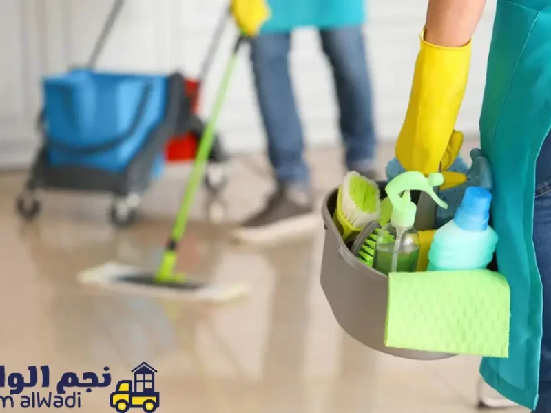 شركة تنظيف شقق العليا الرياض