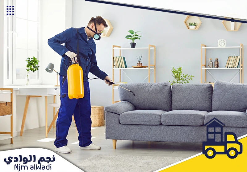 مكافحة حشرات بحائل