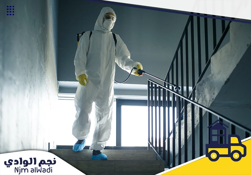 شركة مكافحة حشرات بالباحة