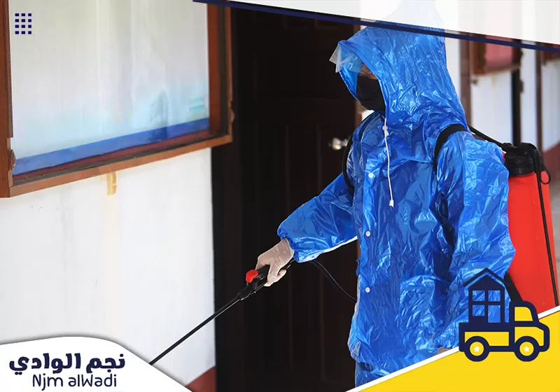 شركة مكافحة حشرات بتبوك