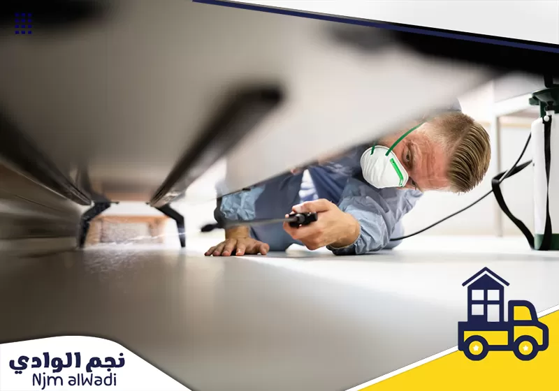 شركة مكافحة حشرات بالرياض