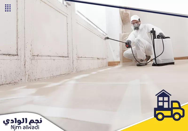 شركة مكافحة حشرات بجدة