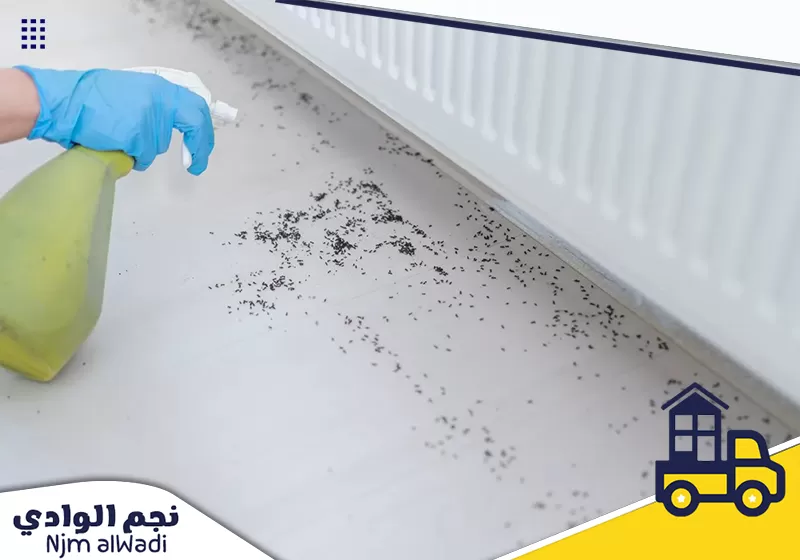 فني مكافحة حشرات بينبع يقوم برش حشرات بينبع​ باستخدام مبيدات قوية وفعالة تقضي تماما على الحشرات.