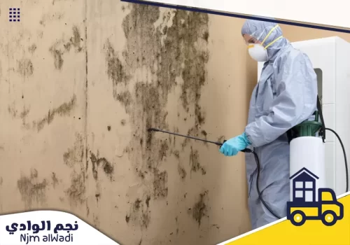 رش مبيدات بالدرعية الرياض 0501044966 شركة نجم الوادي نجم الوادي شركة متخصصة في مكافحة الحشرات بالدرعية توفر حلول فعالة وسريعة لحماية المنازل من انتشار الحشرات